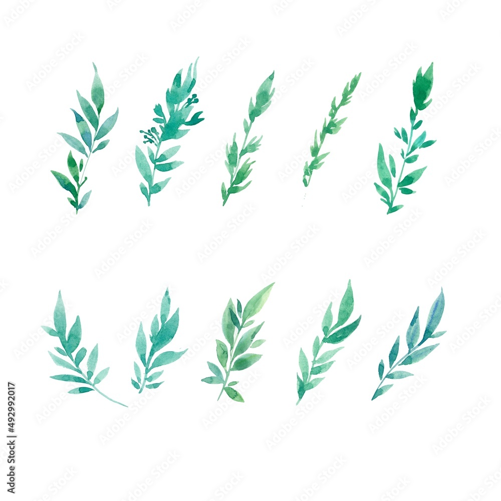 Set of green watercolor branches. Delicate twigs hand drawn. Ten different twigs on a white isolated background.