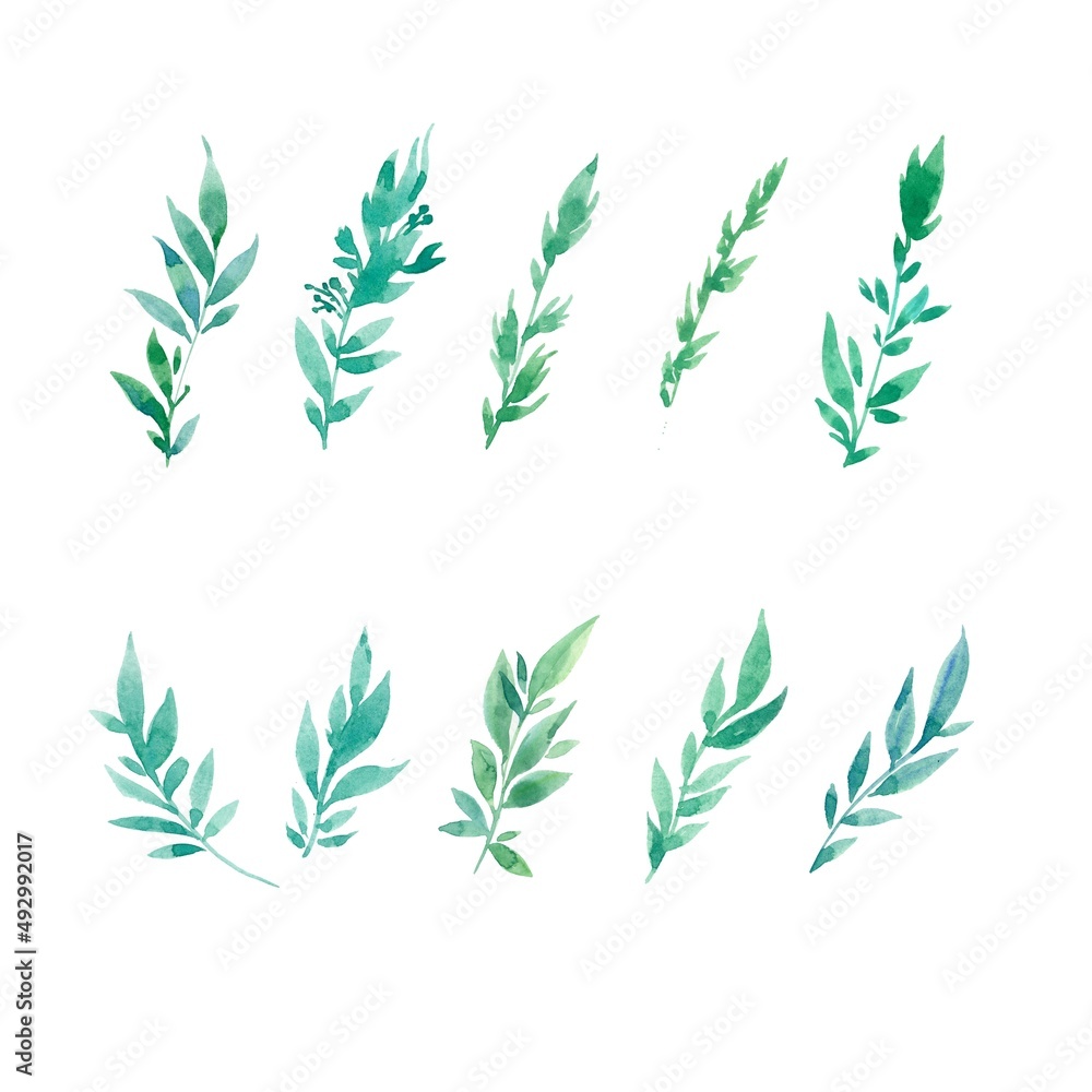 Set of green watercolor branches. Delicate twigs hand drawn. Ten different twigs on a white isolated background. Set of green watercolor branches. Delicate twigs hand drawn. Ten different twigs on a white isolated background.