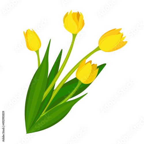 Bouquet of yellow tulips. Flowers