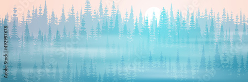 Coniferous forest in the morning fog, orient sun, vector landscape, panoramic view