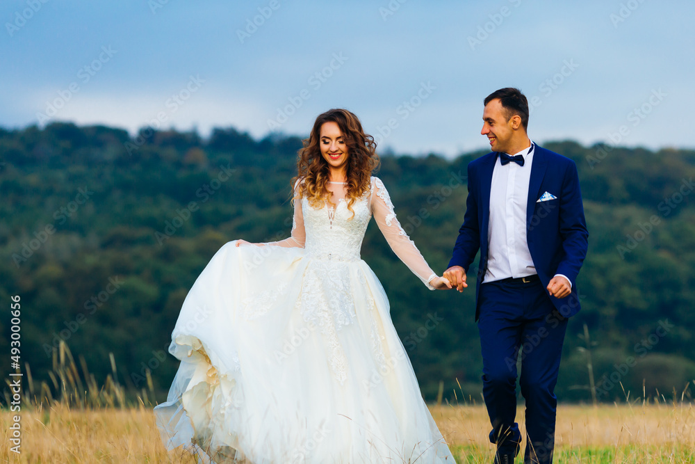 the newlyweds hold hands and walk on the lawn against the background of the forest