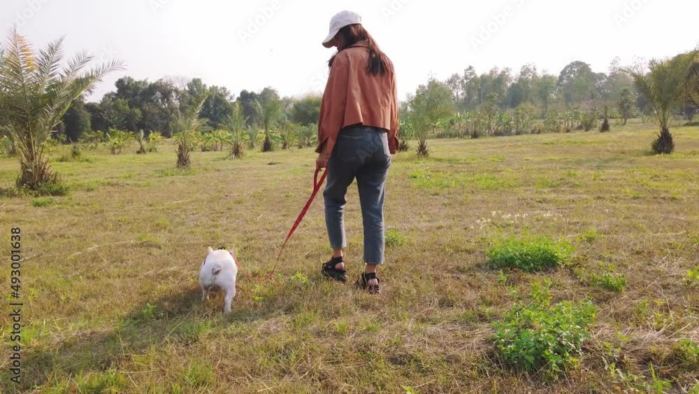 Young woman walking with her french bulldog dog in a field in springtime.Adorable small dog walking. Young woman walking with her french bulldog dog in a field in springtime.Adorable small dog walking.