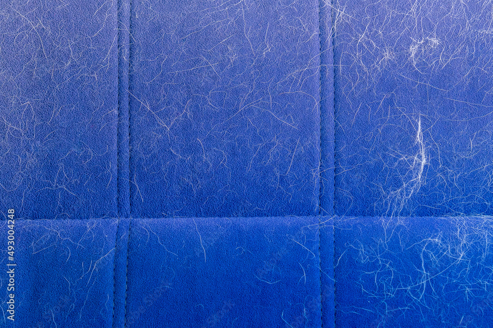 Fototapeta premium Dog hair on the car seat. The concept of seasonal molting of pets, caring for dogs and cats at home.