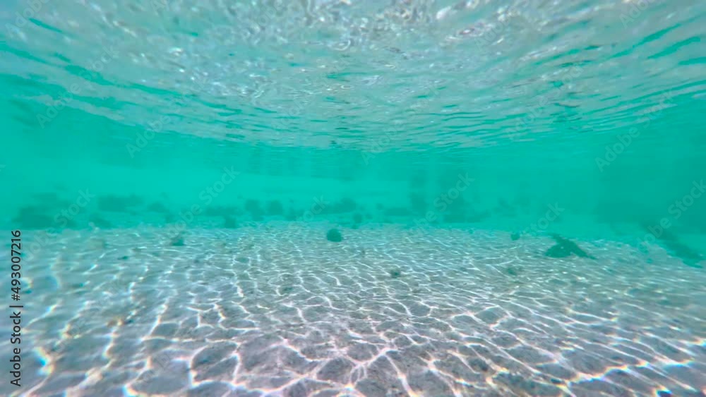 Underwater view of crystal clear sea water in the Caribbean Underwater view of crystal clear sea water in the Caribbean