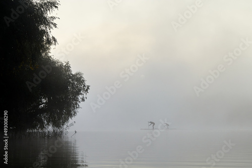 Silhouette of two mens paddles on standing up paddle board (SUP) on misty foggy river. Enjoying nature and solitude in weightlessness