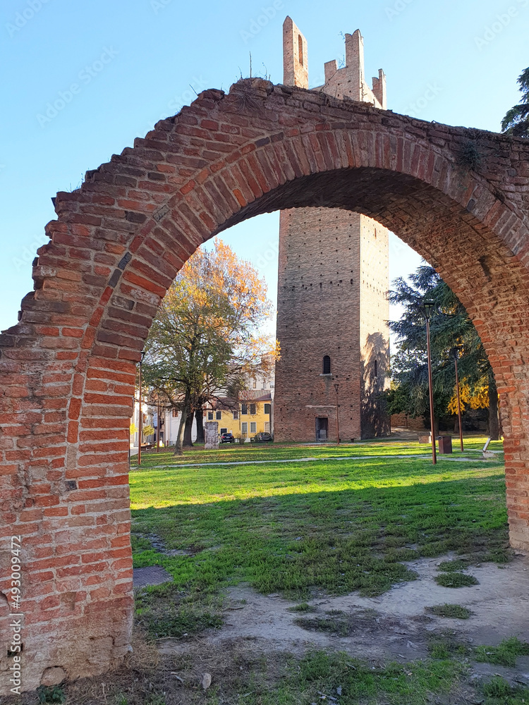 The Donà tower against a brick arch in Rovigo. Vertical. The Donà tower against a brick arch in Rovigo. Vertical.