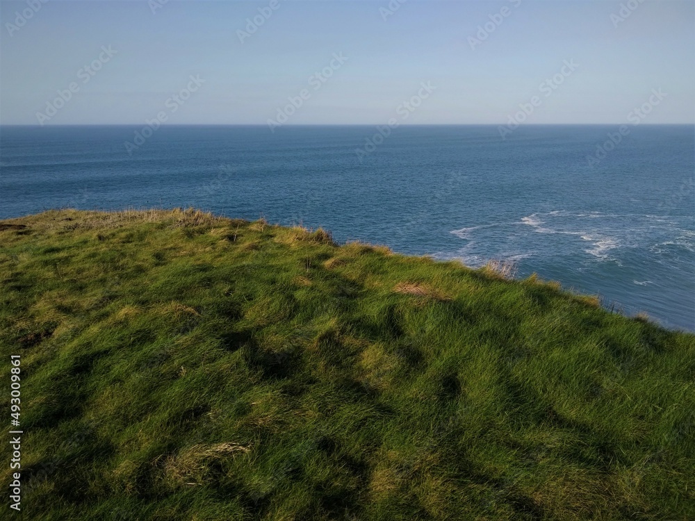 View of the Atlantic Ocean from the grass growing on the cliffs.
