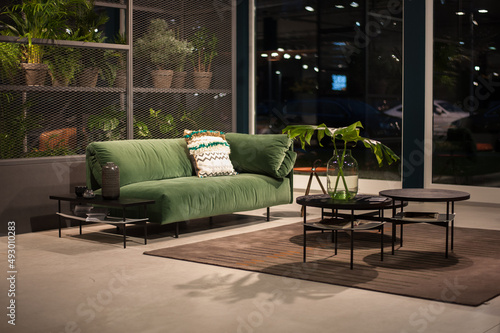 cozy place on the couch in greenish color scheme against the window to the floor