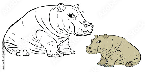 In the animal world. An image of an African hippo. Black and white drawing  coloring. Vector drawing. 