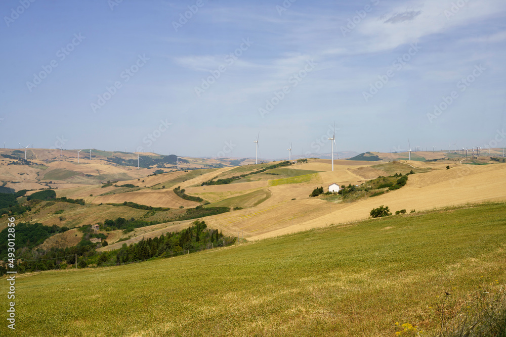 Fototapeta premium Country landscape in Avellino province, Campania, Italy, at summer