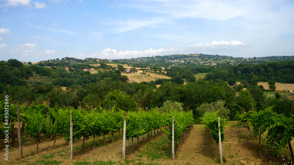 Country landscape in Benevento province, Campania, Italy, at summer