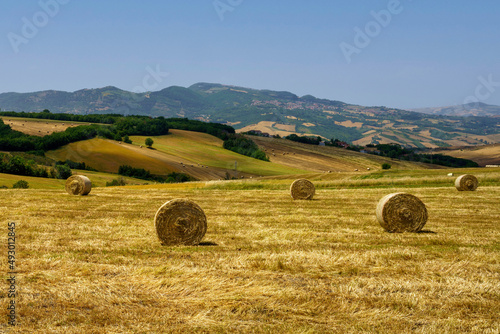 Foto Country landscape in Avellino province, Campania, Italy, at summer