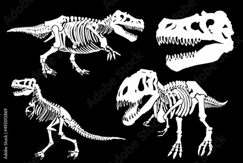 Graphical set of tyrannosauruses isolated on black, silhouettes of skeletons vector elements