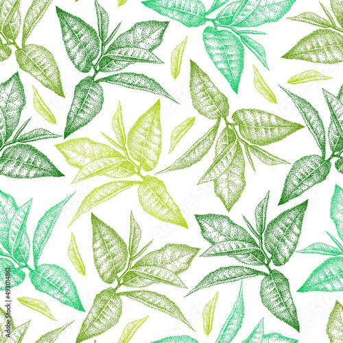 Matcha green tea leaves. Seamless pattern on white background. Branch for green tea drink. Hand-drawn vector sketch in bitmap pointillism style. © mvdiduk