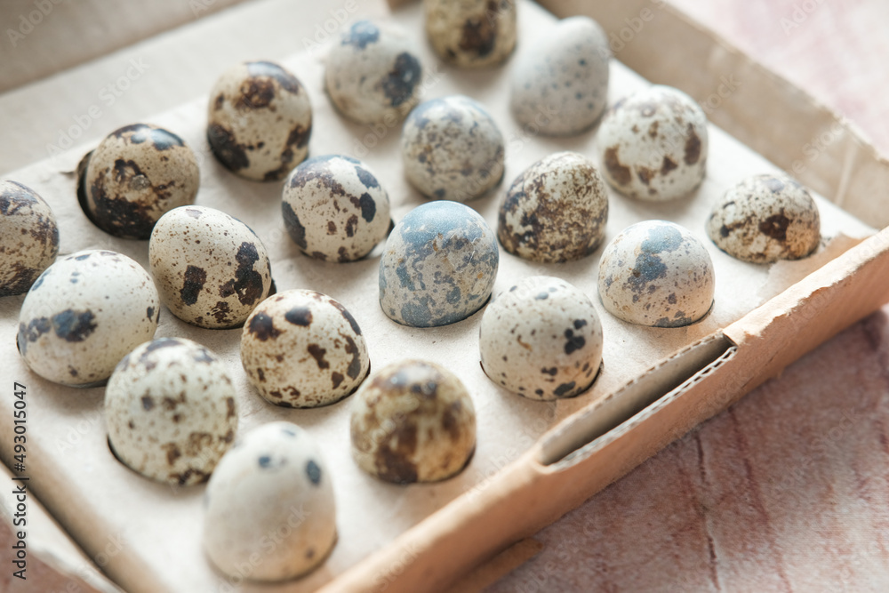 close up of Quails eggs in a box close up of Quails eggs in a box