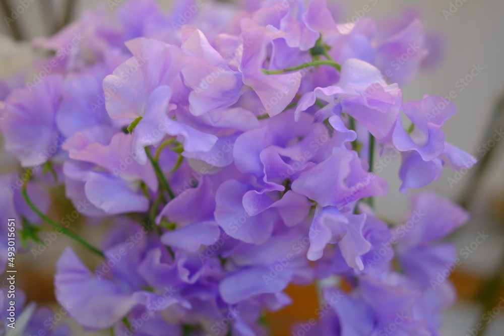 Beautiful flower banquet arrangement with Purple flowers Beautiful flower banquet arrangement with Purple flowers