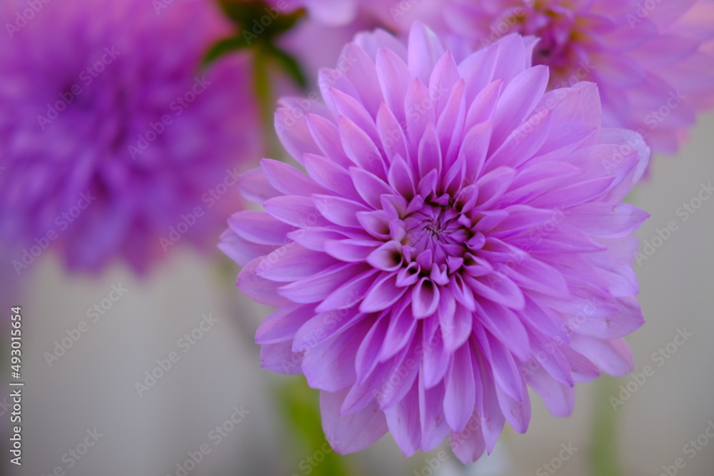 Beautiful flower banquet arrangement with purple flower Beautiful flower banquet arrangement with purple flower