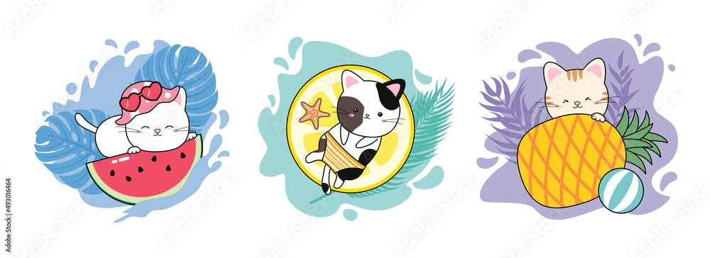 Tropical summer concept design of cat and fruit on white background vector illustration