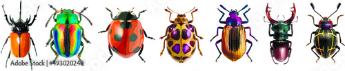 Photo Set of graphical hand-drawn bugs, butterfly