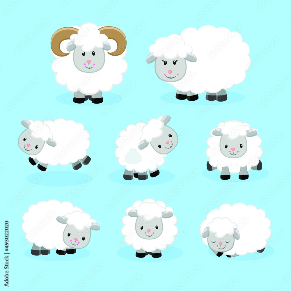 Set of cute sheeps in cartoon style. Vector illustration.