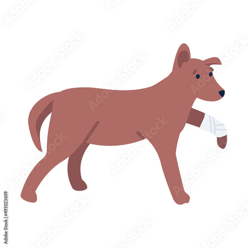 Sad dog with broken leg semi flat color vector character. Standing figure. Full body animal on white. Veterinarian visit simple cartoon style illustration for web graphic design and animation