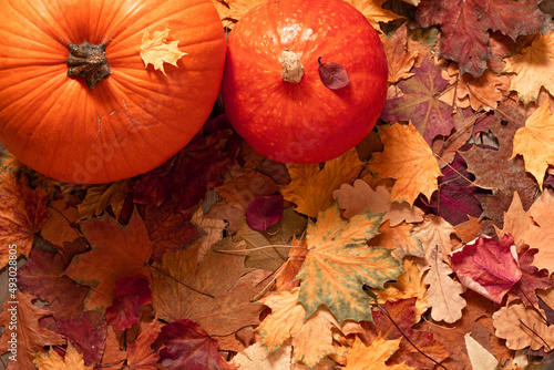 Thanksgiving pumpkins and falling leaves in autumn garden, Apples, pumpkins,hazelnut, walnut and fallen leaves on dark background. Copy space for text, top view. Thanksgiving background