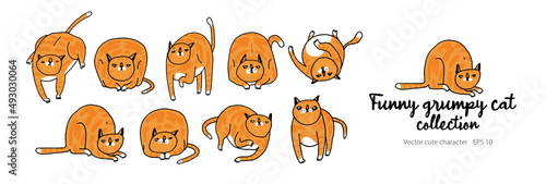 Red Cat Character. Cat Poses and Emotions Set. Cute, Lazy and Grumpy Kitty. Vector Collection with Funny Ginger Cat in Different Poses. Doodle Cartoon Illustrations Isolated on White