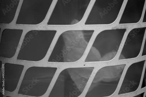 evocative black and white image of the texture of a rhomboid-shaped plastic lattice 