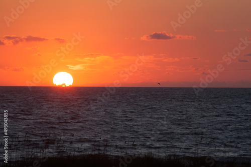 Fototapeta Naklejka Na Ścianę i Meble -  Ocean at sunrise