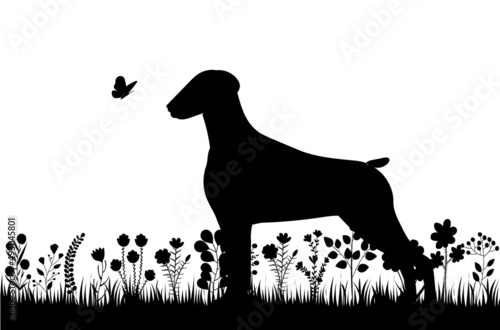 dog on the grass black silhouette