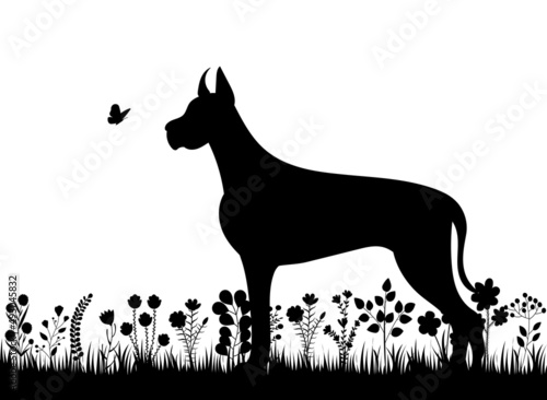  dog on the grass black silhouette isolated ,vector