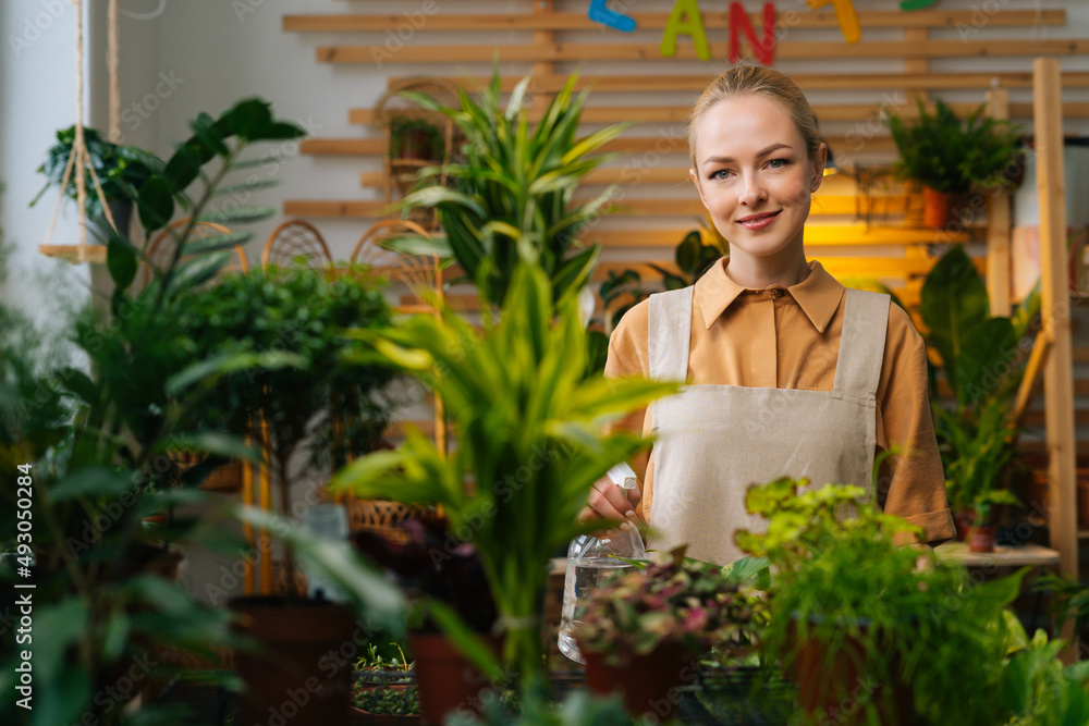 Portrait of attractive young woman in apron spraying water on houseplants in flower pots by sprayer, looking at camera. Happy female florist sprinkling green leaves of house flowers using spray bottle Portrait of attractive young woman in apron spraying water on houseplants in flower pots by sprayer, looking at camera. Happy female florist sprinkling green leaves of house flowers using spray bottle