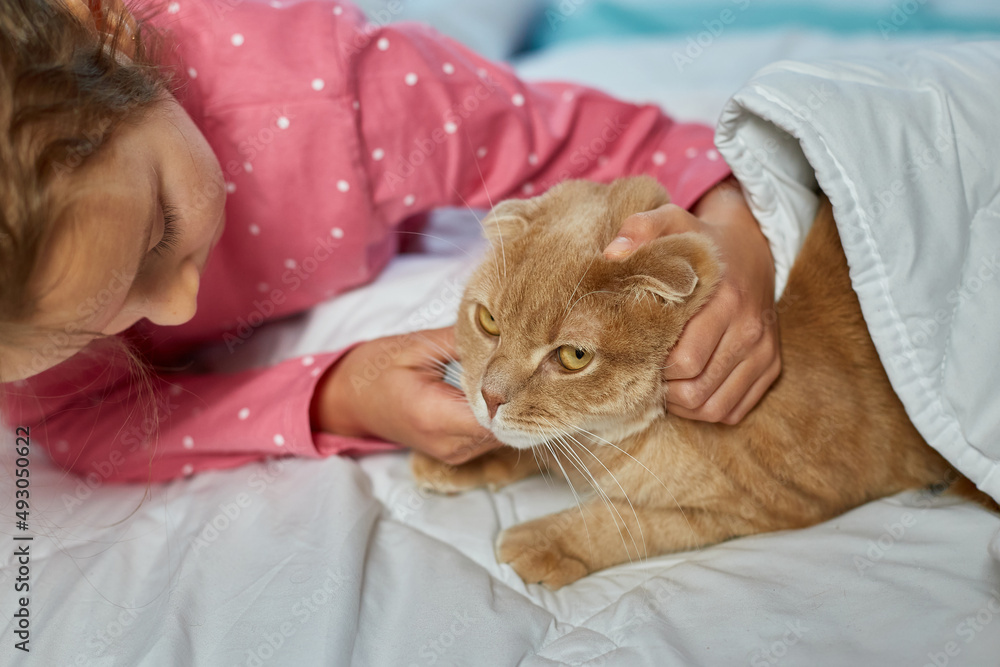 Cute ginger cat and little girl lying on a soft blanket in bed Cute ginger cat and little girl lying on a soft blanket in bed