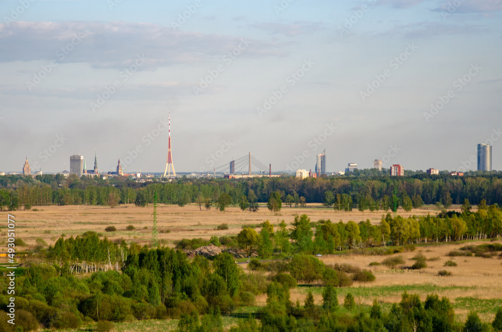 city buildings behind the countryside