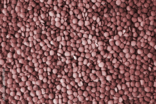 Purple lentils cereal crops natural background texture 