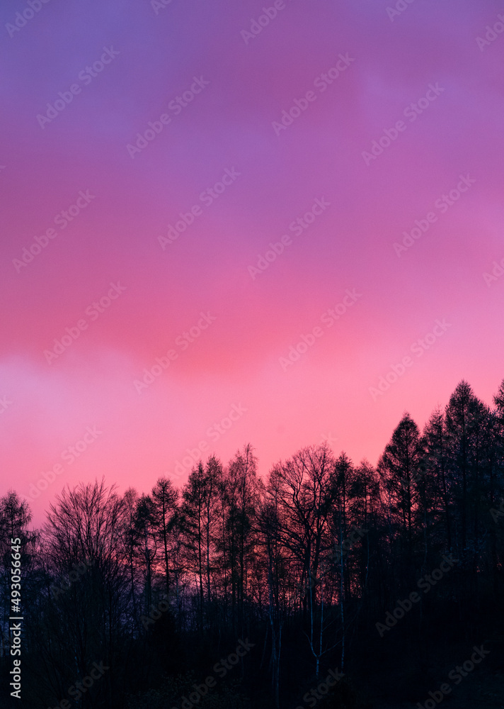 Fototapeta premium Beautiful cloudy sunset sky glowing violet and pink