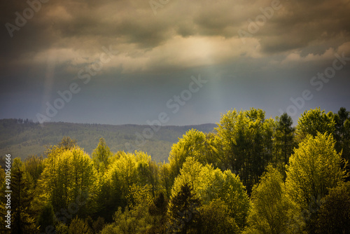 Green spring trees and cloudy sky with sunbeams © leszekglasner