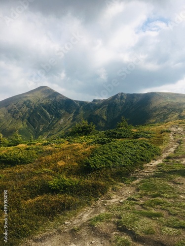 landscape in the mountains