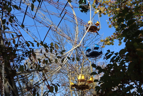 tree and wheel in the sky