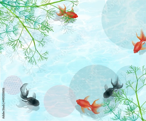 水草のある水の中を黒と赤の金魚が優雅に泳ぐ水の波紋が美しいデザインのベクター夏フレーム素材
