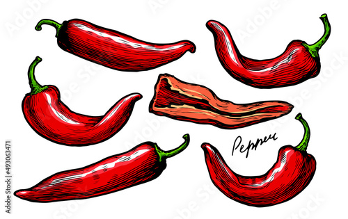 Red peppers with green stems. Spices food, vegetables vector illustration