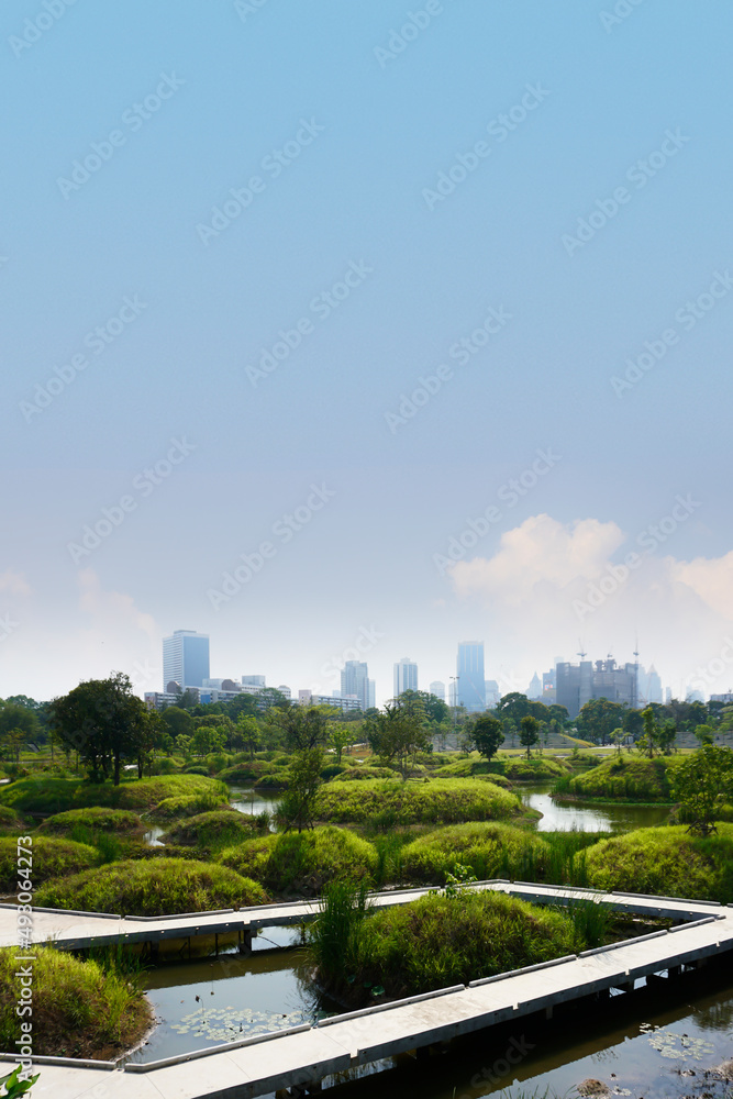 Park with green grass field and green fresh tree plant, building, pedestrian bridge at Benjakitti Park Bangkok, Thailand