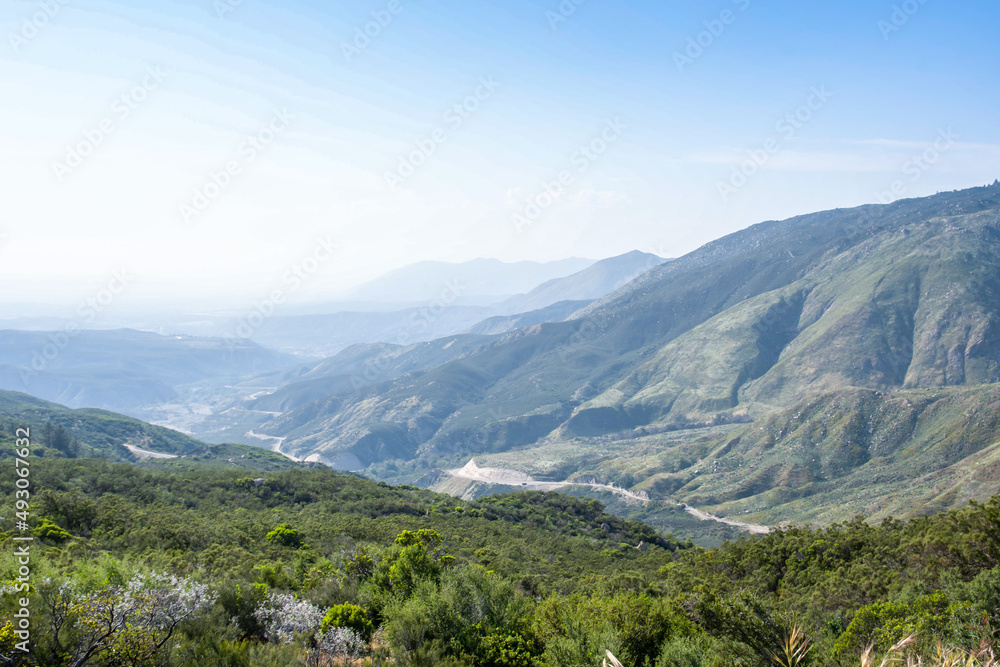Fototapeta premium An overlooking view of nature in Ortega, California