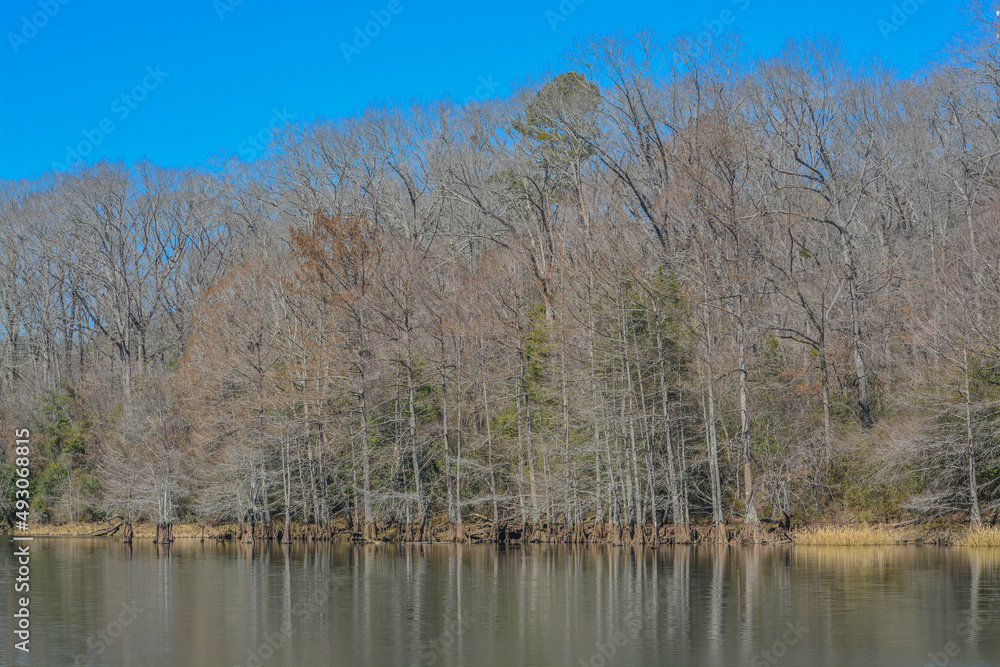 Mountain Fork River winding through Beavers Bend State Park in Broken Bow, Oklahoma Mountain Fork River winding through Beavers Bend State Park in Broken Bow, Oklahoma