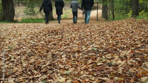 the family walks through the fallen leaves. father and son are walking hand in hand. view from the back