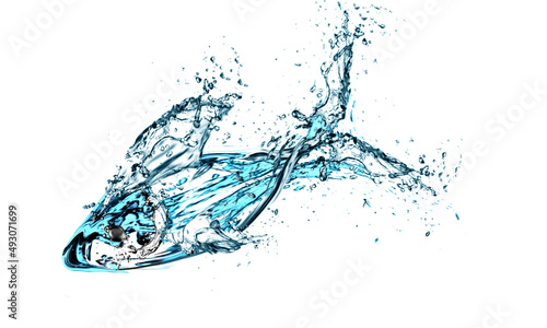 water splash fish isolated on white background