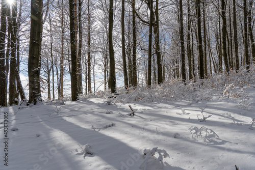 Winterzauber im Norden der Tschechischen Republik- Schluckenauer Zipfel photo