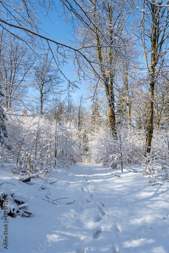 Winterzauber im Norden der Tschechischen Republik- Schluckenauer Zipfel