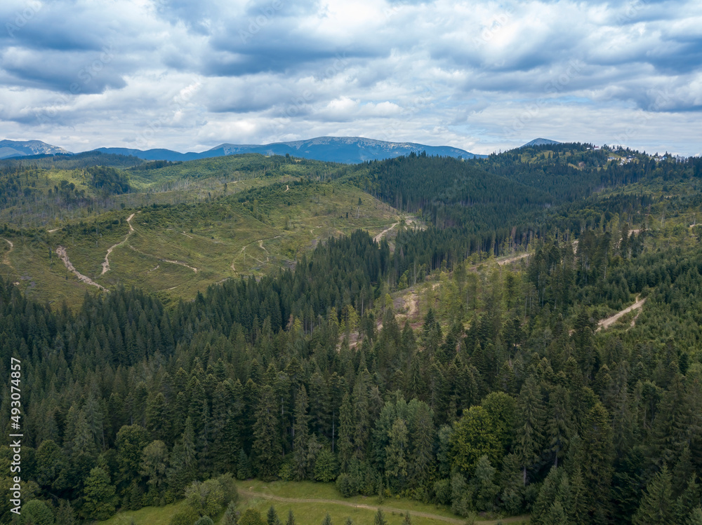 Green mountains of Ukrainian Carpathians in summer. Coniferous trees on the slopes. Aerial drone view. Green mountains of Ukrainian Carpathians in summer. Coniferous trees on the slopes. Aerial drone view.
