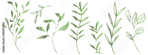 Vector plants and grasses in green style with shiny effects. Minimalist style. Hand drawn plants. With leaves and organic shapes. For your own design.